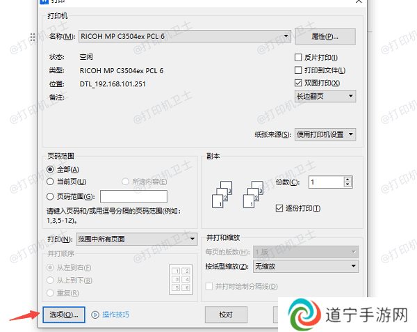 选择正确的打印选项